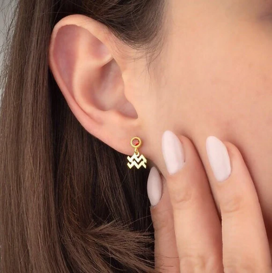 Birthstone Stud Earrings with Zodiac