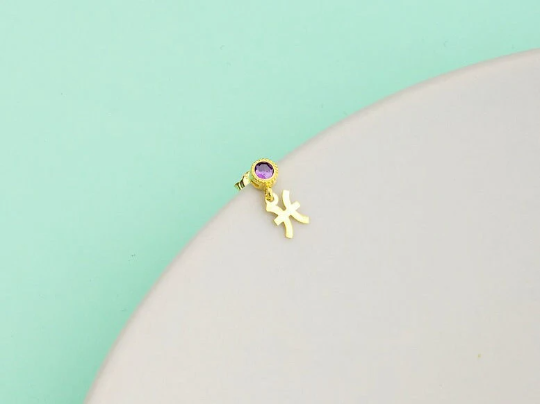 Birthstone Stud Earrings with Zodiac