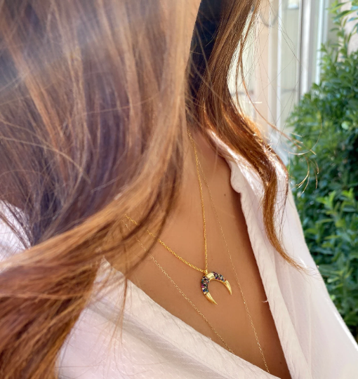Pave Half Moon Necklace